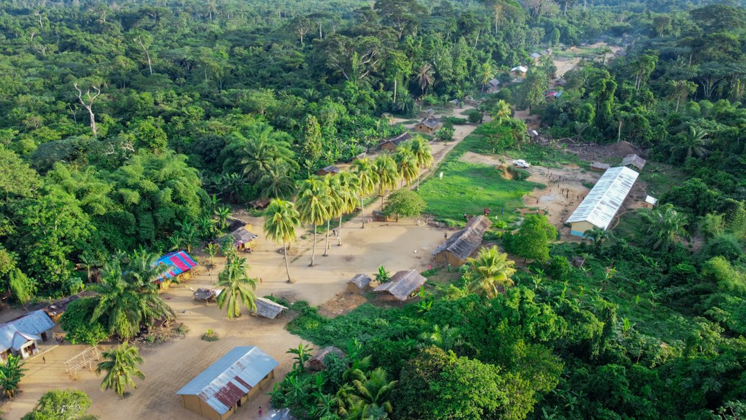 Photograph of DR Congo's Tshopo province