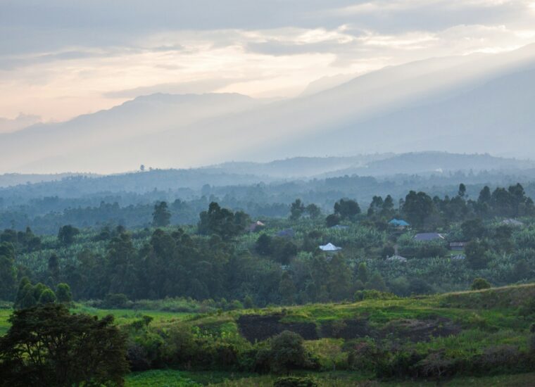 Rwenzori Mountains landscape, Uganda