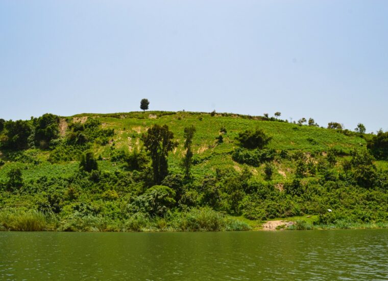 Hill overlooking Lake Kivu, Rwanda