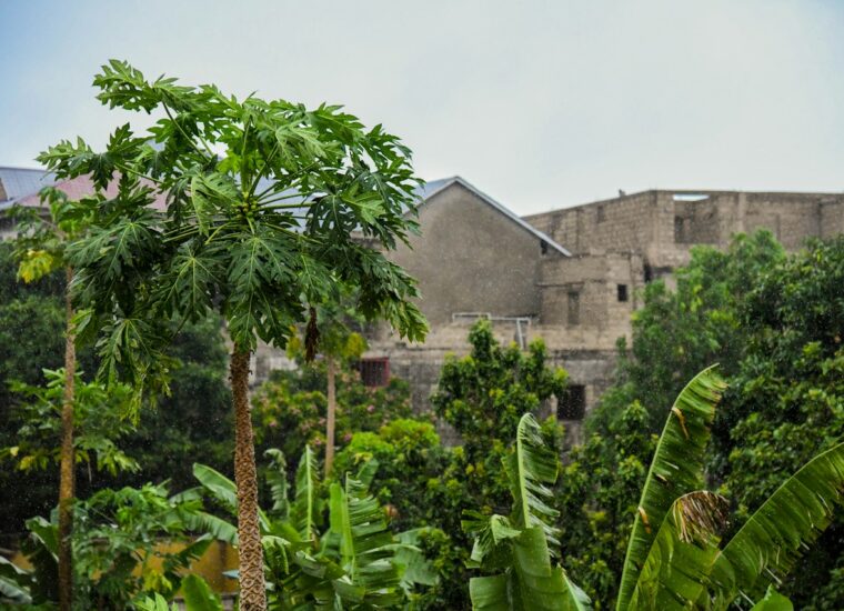 Kinshasa city and natural surroundings; photograph of Democratic Republic of the Congo