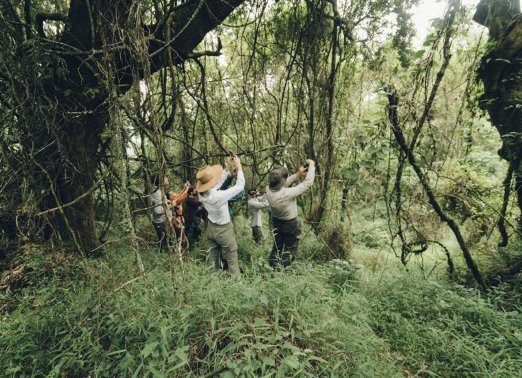 Landscape in Uganda